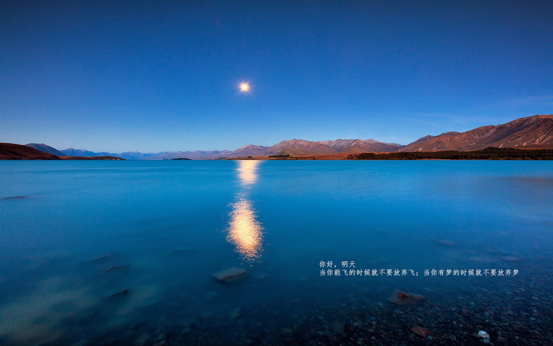 加维的红色风暴，当阿根廷血拼精神接管F1巴黎揭幕战