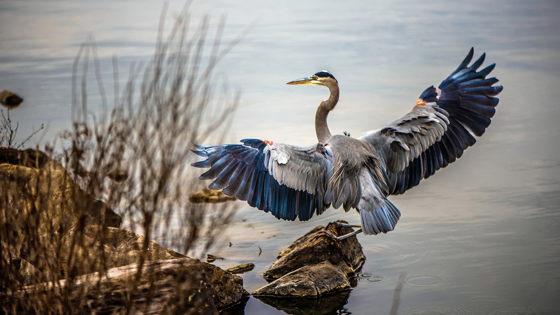 当神话照进现实，希腊的全面压制与阿拉巴的个人史诗