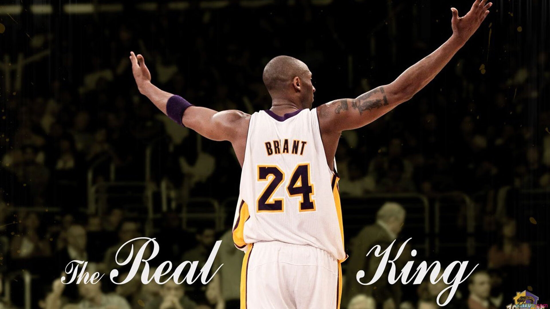 赛道与跑道，当F1年度争冠焦点战遭遇巴西对牙买加的战术压制